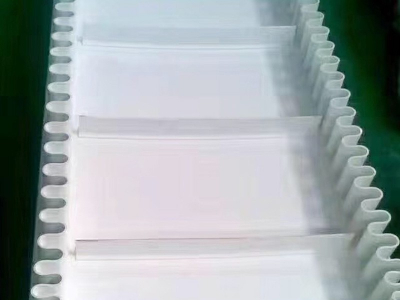 食品行業(yè)輸送機(jī),不銹鋼食品輸送機(jī)