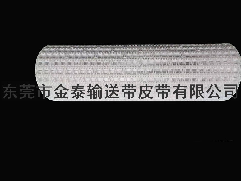 塑膠輸送網(wǎng)帶