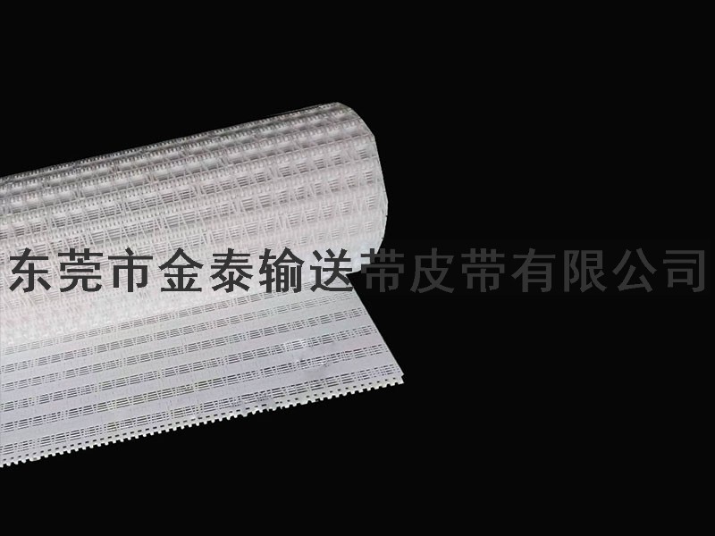 塑膠輸送網(wǎng)帶